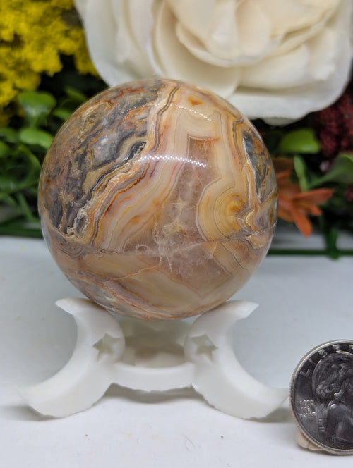 Crazy Lace Agate