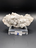 Iron Sulfide with White “Mushroom” Calcite