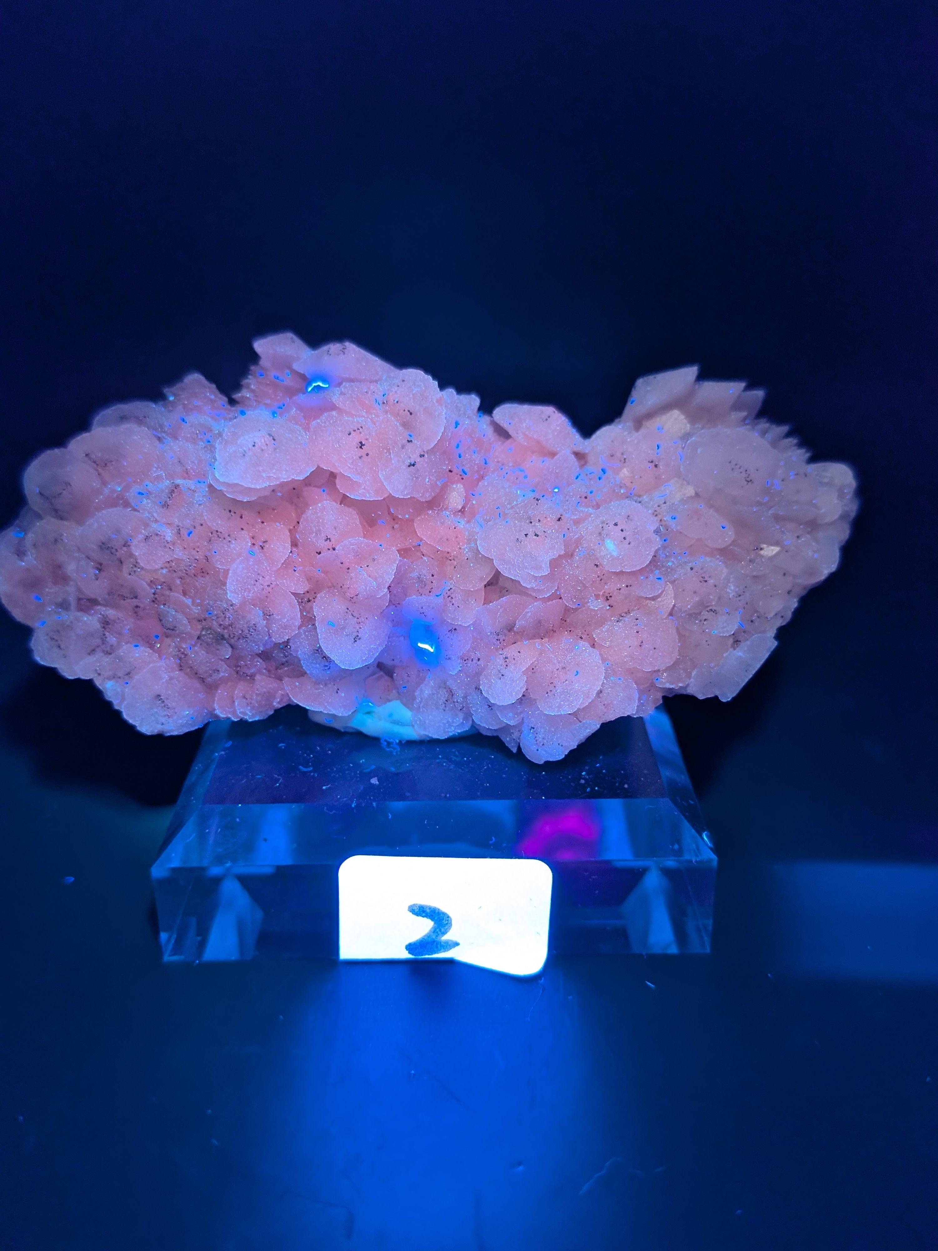 Iron Sulfide with White “Mushroom” Calcite