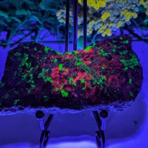 Willemite